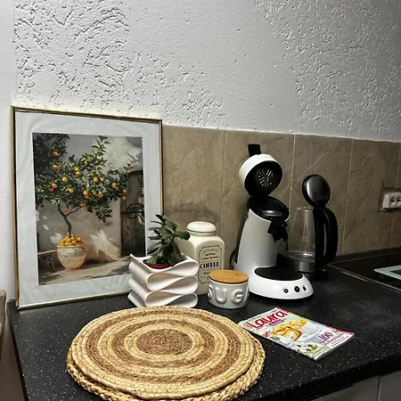 Modern With Space For 6